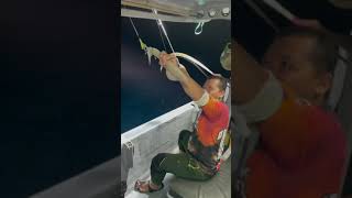 Sotong torok bapOk!!! #shorts #squidfishing #tiktok #alanwalker #viral