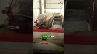 От карьера до качества | Мрамор и гранит Shree Ram Stones ✨