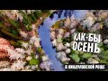 Как бы осень в Линдуловской роще. ☂️🍂 Мой эпический фейл!