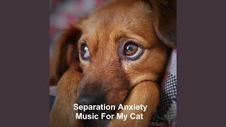 Cute Cat Listening To Music