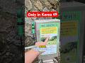 Only In Korea Travelkorea