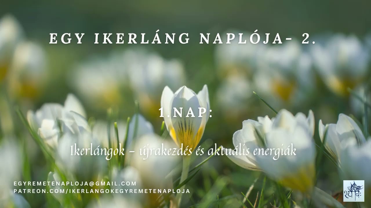 Ikerlángok - Egy Ikerláng naplója 1.nap: Újrakezdés és aktuális energiák
