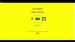 CAT SHYT and wizards (video game project)