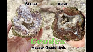 GEODES from the Hauser Geode Beds - BIG reveals