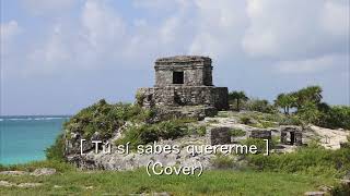 【Cover】「Tú sí sabes quererme」(Natalia Lafourcade)歌ってみた