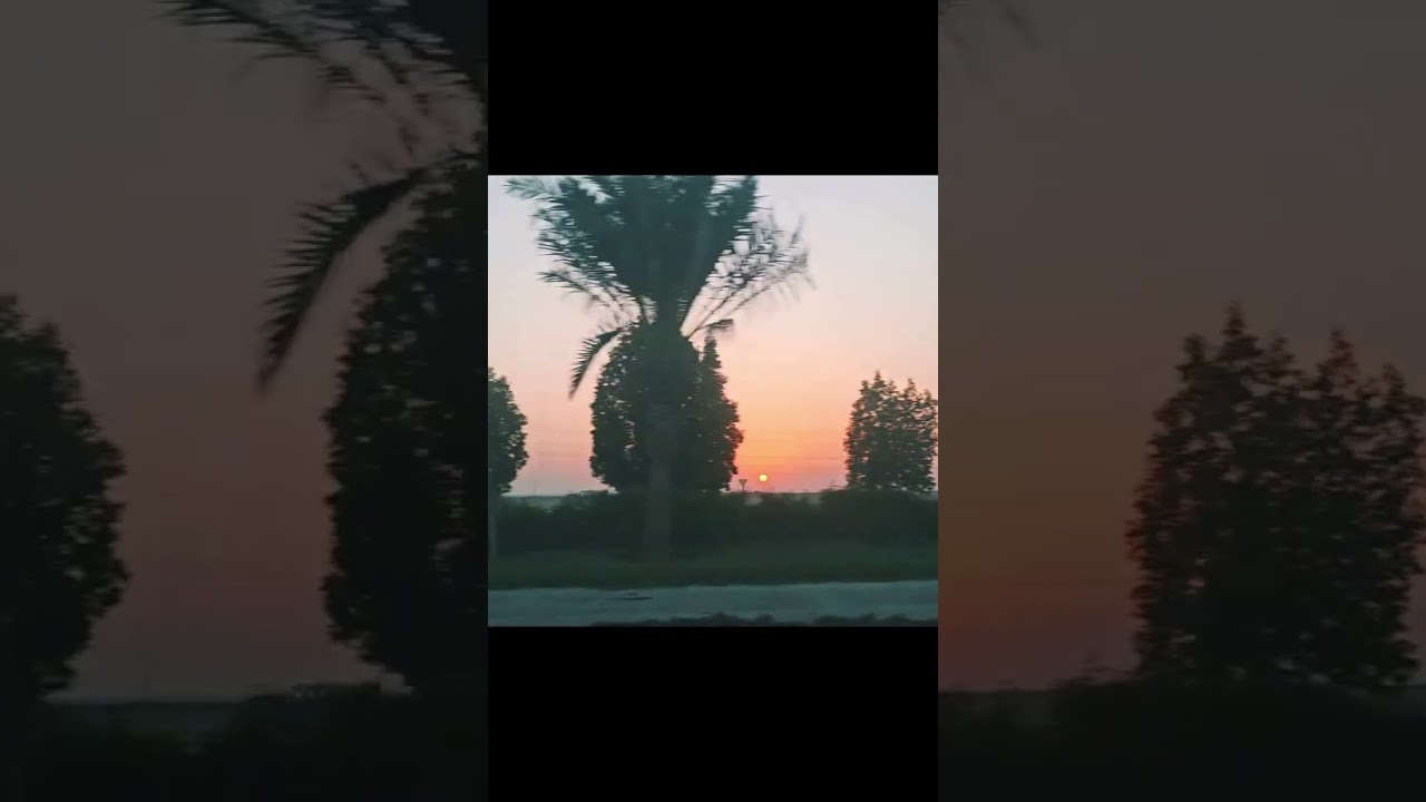 Drive slow and enjoy the scenery 