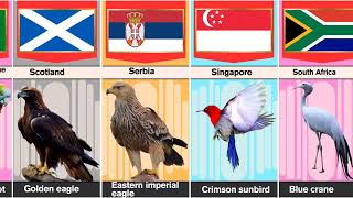 National Bird Of Different Countries