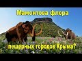 Мамонтова флора в пещерных городах Крыма? 👍Экспедиция с каналом AISPIK