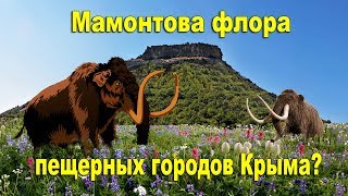 Мамонтова флора в пещерных городах Крыма? Экспедиция с каналом AISPIK