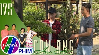 Con Ông Hai Lúa - Tập 1751 Tám Tàng Cho Phép Người Lạ Thoải Mái Chụp Hình Cây Kiểng Của Nhà Mình