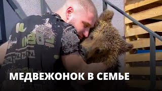 картинка: Медведица Маша живёт в саратовской семье