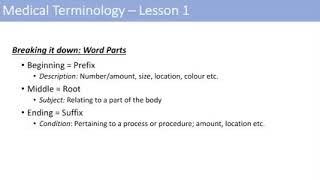 Medical Terminology - The Basics - Lesson 1
