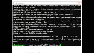 Installing Weaved Services on Raspberry Pi