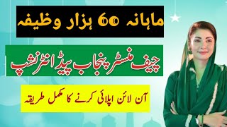 Climate Leadership Development Internship 2026 | CM Punjab Paid Internship apply online 