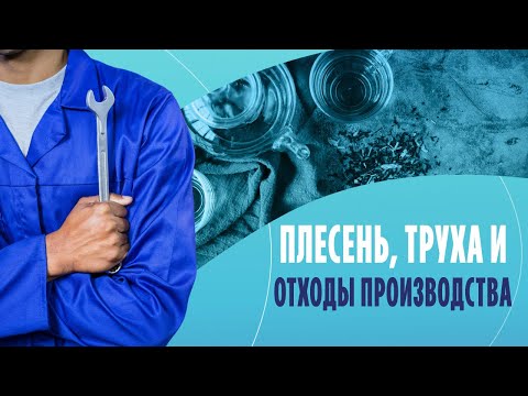 Плесень, труха и отходы производства: что еще продают под видом элитных сортов чая?