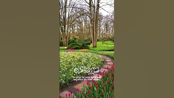 إنا أعطيناك الكوثر ⚘️سورة الكوثر  حالات واتس اب قرآن