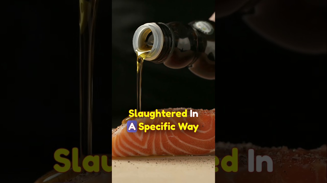 Halal 🐄 vs Haram 🐷: What's the difference? 