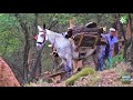 Una tradición centenaria, Los Alcornocales, Cádiz