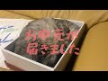 【御中元】ねこが贈られてきました【癒し】