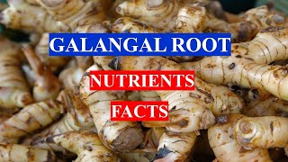 Galangal Root - Ginger - E - Health Benefits And Nutrients Facts