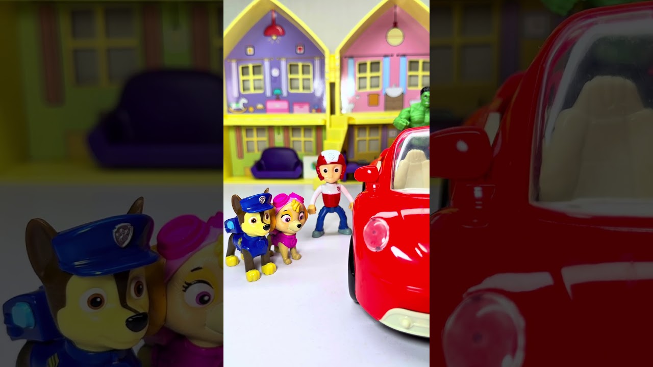 Satisfying Unboxing Experience with Paw Patrol Toys Collection 