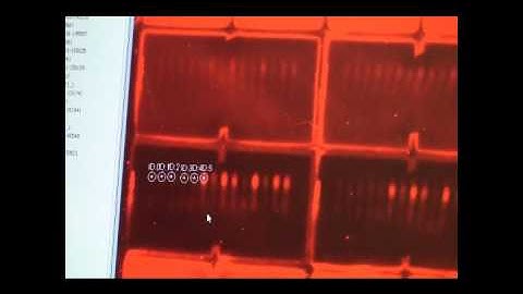 Micro-western arrays - 15 - Analysis