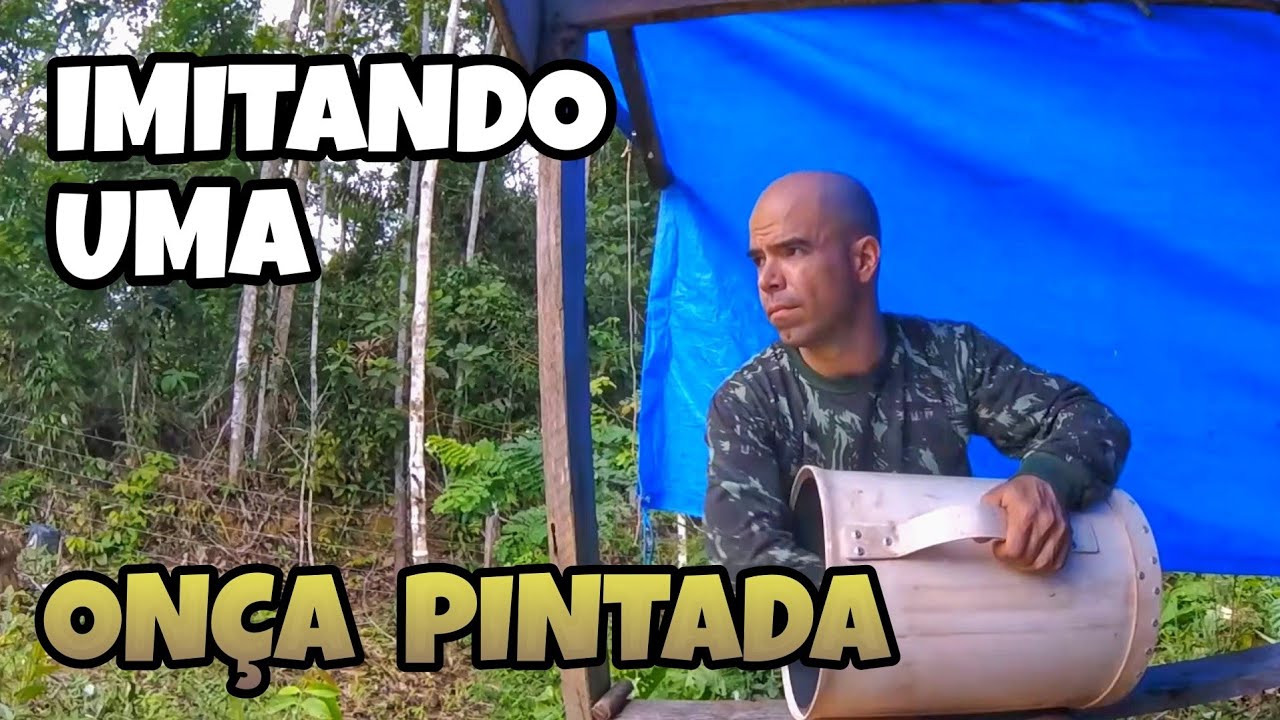 ONÇA-PINTADA | IMITANDO O ESTURRO DA ONÇA COM UM ESTURRADOR DE PVC NA AMAZÔNIA
