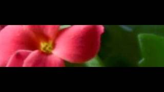 Menthan Aritmetic  Test 1   MA1Q2