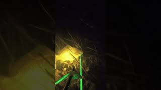 Подводная охота - Карасик   #подводнаяохота #fishing