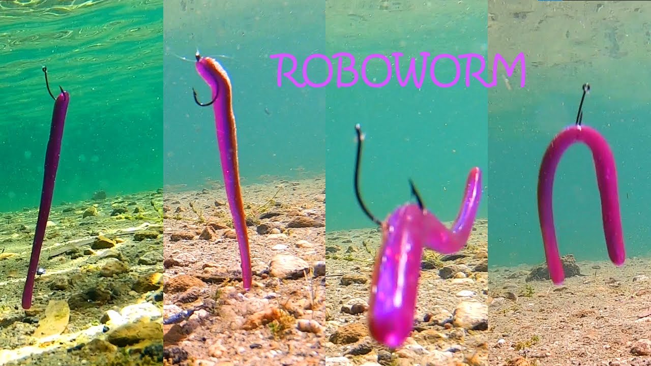 Roboworm Underwater Footage! Hook Style Comparison 