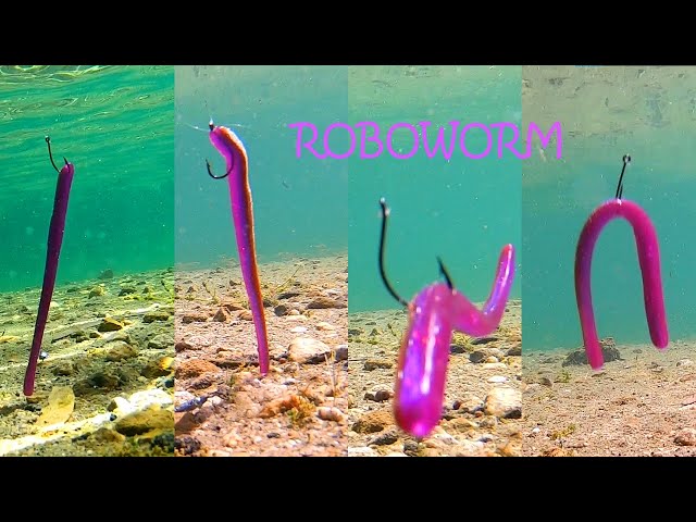 Roboworm Underwater Footage! Hook Style Comparison 