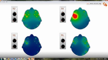 Emotiv Epoc Brain Activity Map