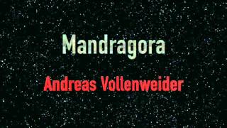 Video thumbnail of "Mandragora / Andreas Vollenweider"