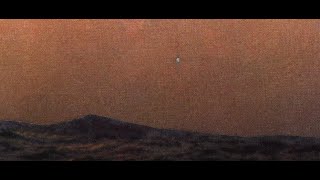 Palmiyeler - Aslında Alkol Hâlâ Damarımda