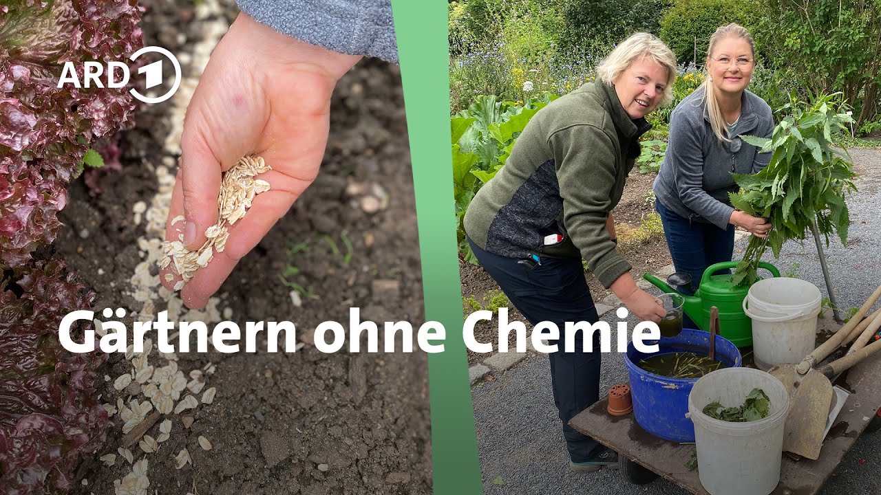 Gärtnern ohne Chemie: Vielfalt im Klostergarten | MDR Garten