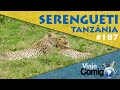 PARQUE NACIONAL DE SERENGETI - TANZÂNIA | VIAJE COMIGO 187 | FAMÍLIA GOLDSCHMIDT