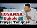 Hosanna Bukole Chants With Tongues By Apostle Edu Udechukwu Hosanna Bukole Chants With Tongues By Apostle Edu Udechukwu