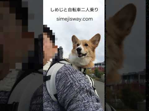 K9のリュックにしめじを入れて 自転車で公園へ行きます Youtube