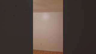 600 Ashford street Brooklyn contact for price all utilities included.
