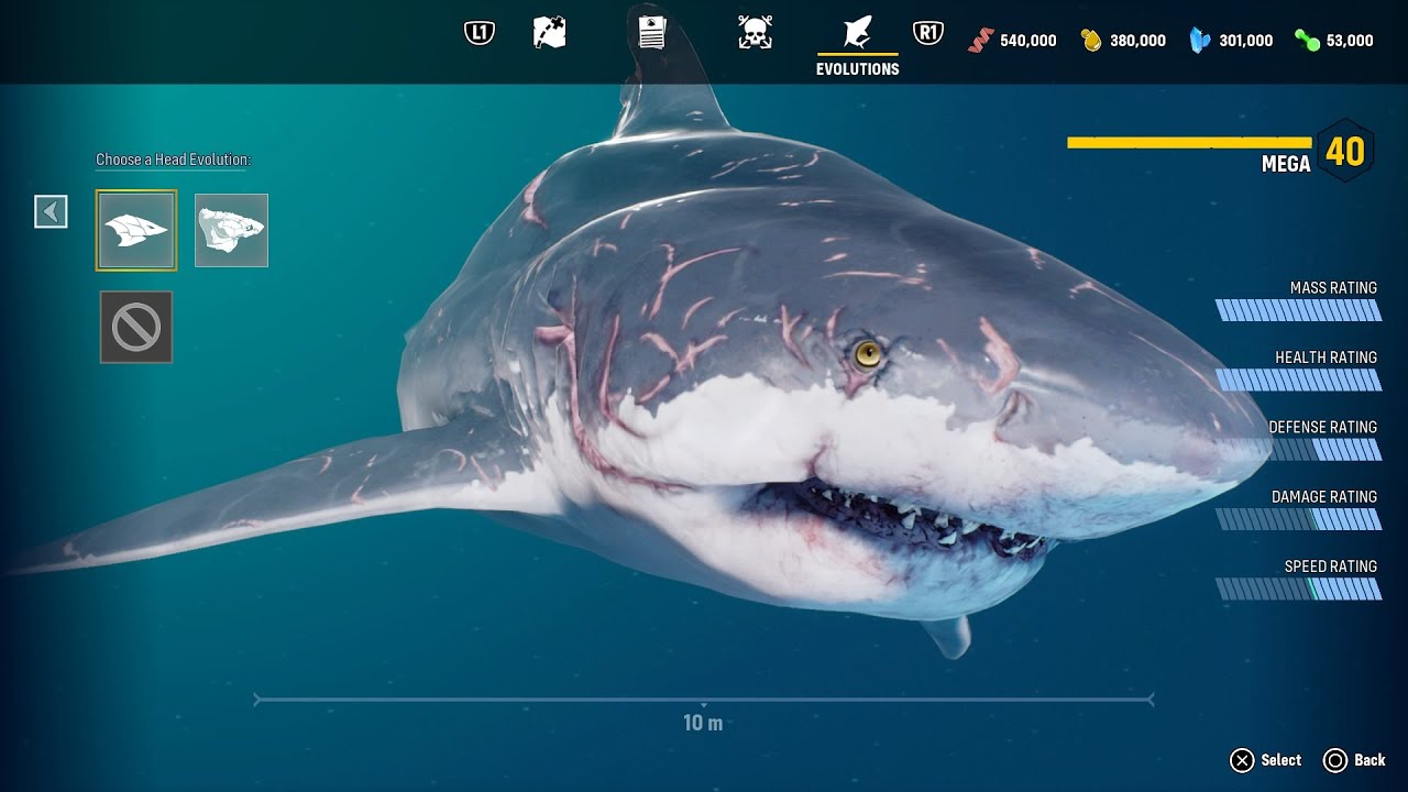 MANEATER | Shark evolution: the Bull Shark