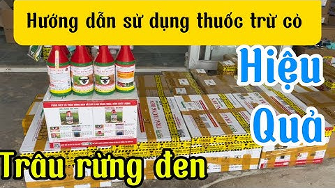 Hướng dẫn và cung cấp thuốc trừ cỏ trâu rừng đen chính hãng hiệu quả tiết kiệm chi phí