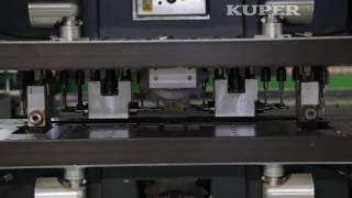 gebrauchte Biesse Skipper 100L