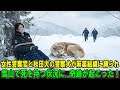 【奇跡の実話】女性警察官と警察犬の秋田犬が、麻薬組織に縛られ、雪山に置き去りにされ凍死寸前に……絶望の中、信じられない奇跡が起こった！