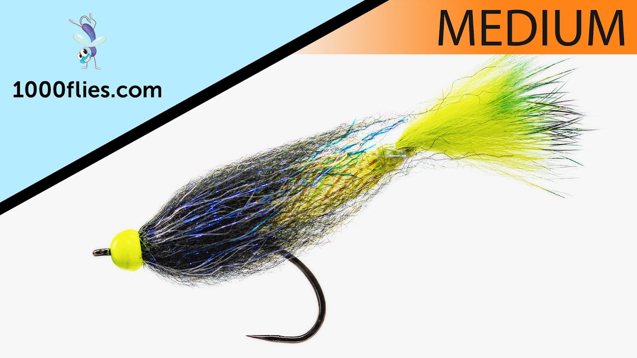 Come Fanno Le Mosche Ad Atterrare A Testa In Giù? | Italia - Foto 2