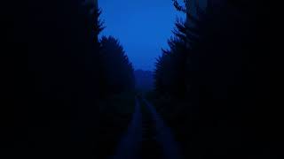 #darkforest #blueforest #darkambient