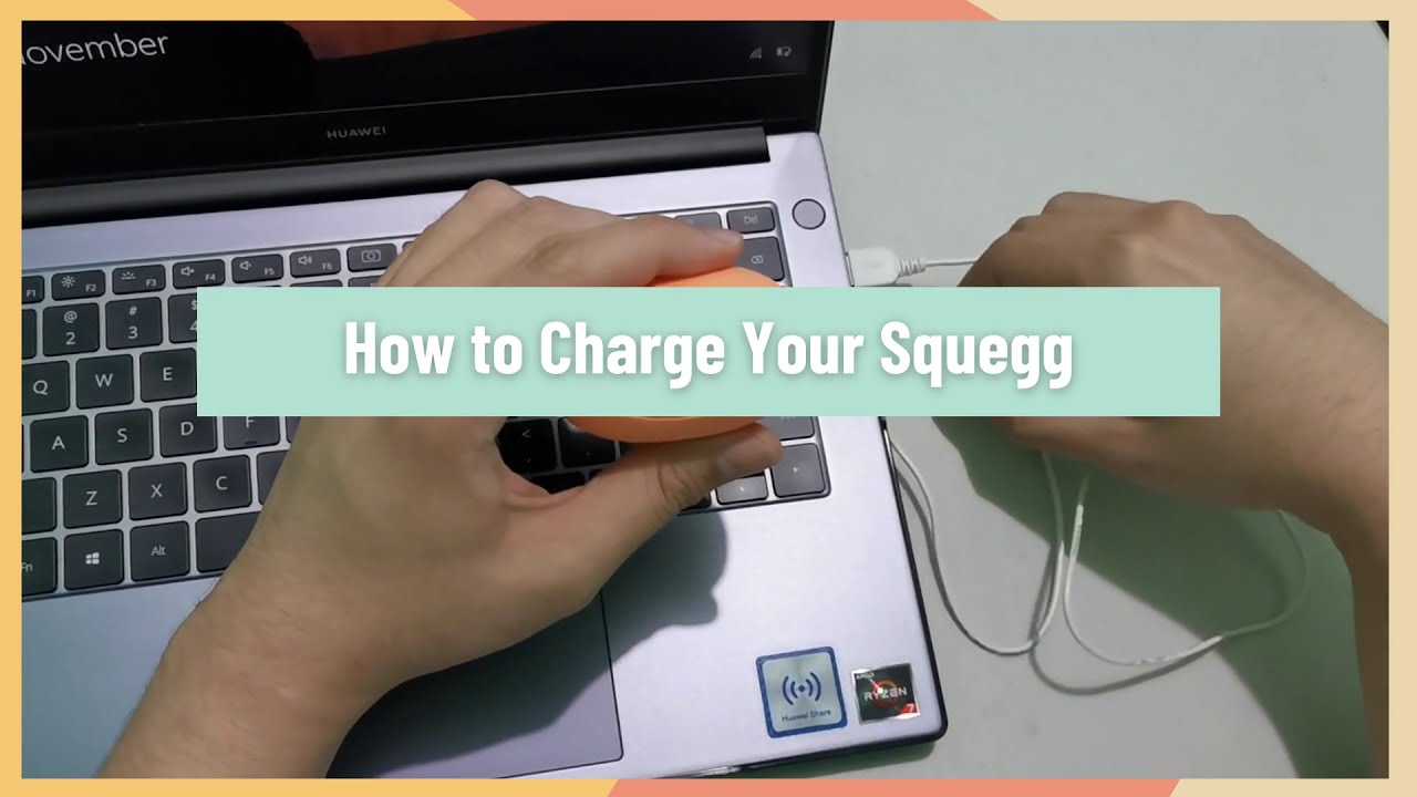 How to Charge Your Squegg