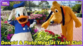 Pluto Smells The Flowers At Disneys Yacht Club Resort With Donald Meet Inside - Walt Disney World