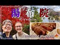 【日本旅行記vlog】 湯布院で紅葉を満喫🍁ニコちゃんが関取に？
