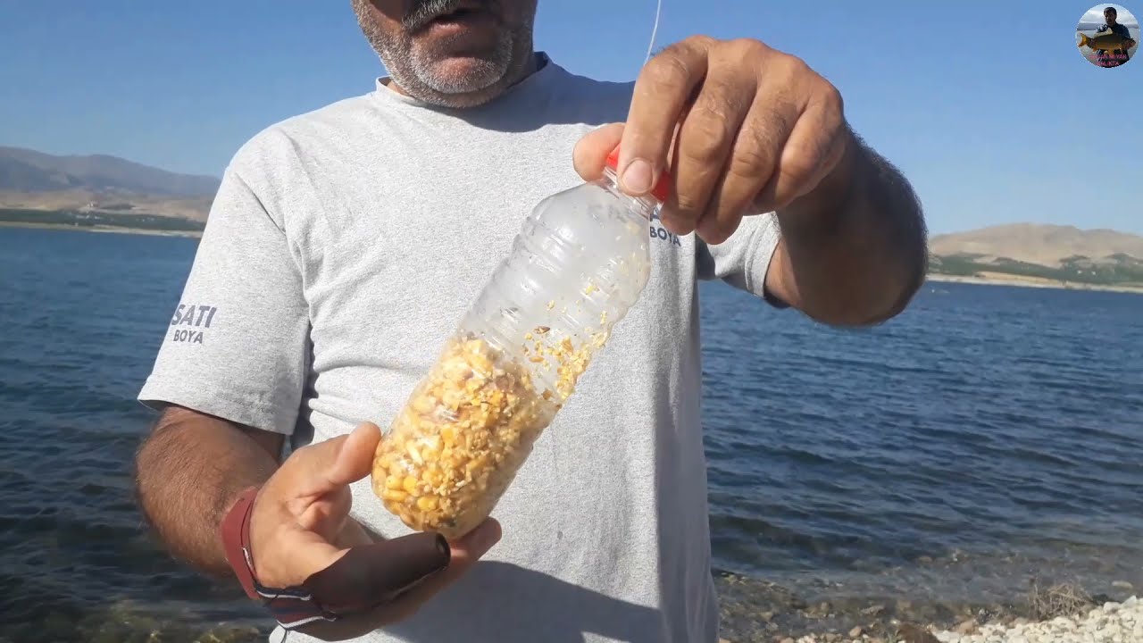 6.5 kilo aynalı sazan.Trofe böyle tutulur...Büyük sazan avı...Vuruş anı Muhteşemdi