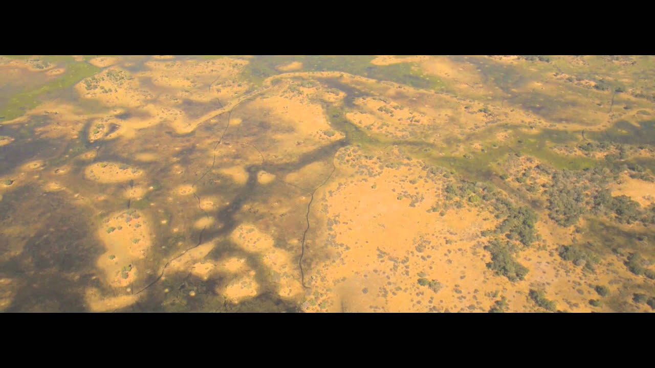 Rhino Conservation Botswana - Black Rhino Translocation 2014